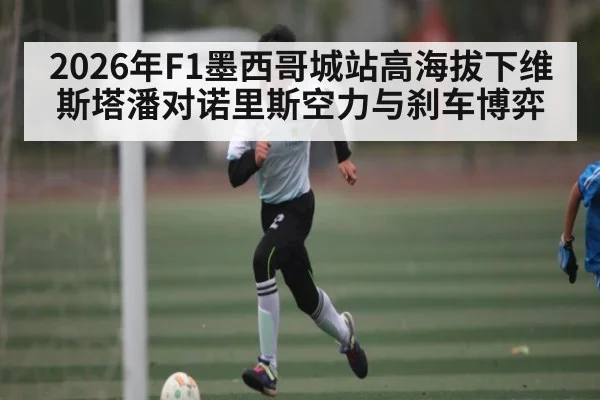 2026年F1墨西哥城站高海拔下维斯塔潘对诺里斯空力与刹车博弈